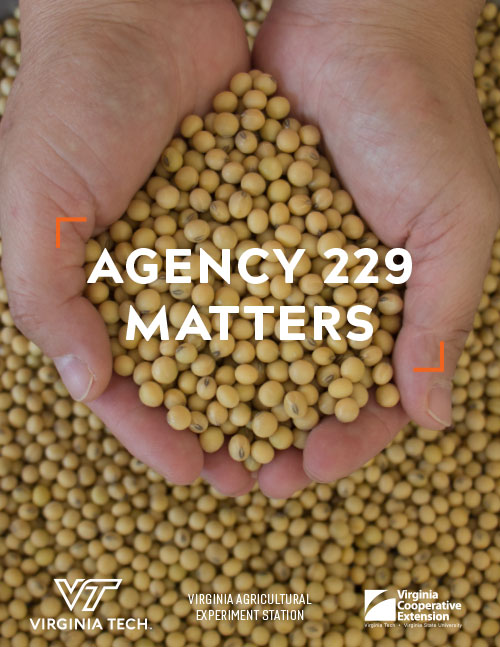 Agency 229 Matters