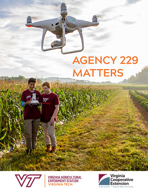 Agency 229 Matters